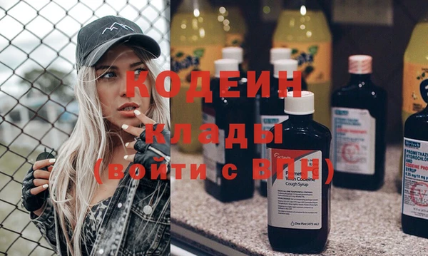 хмурый Алзамай