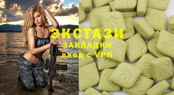 хмурый Алзамай