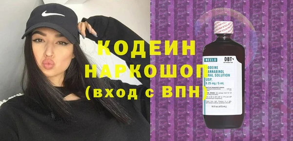 хмурый Алзамай